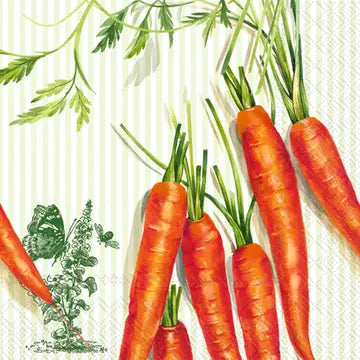 Mohren Green, carrots