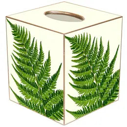 Ferns on CreamTissue Box Cover