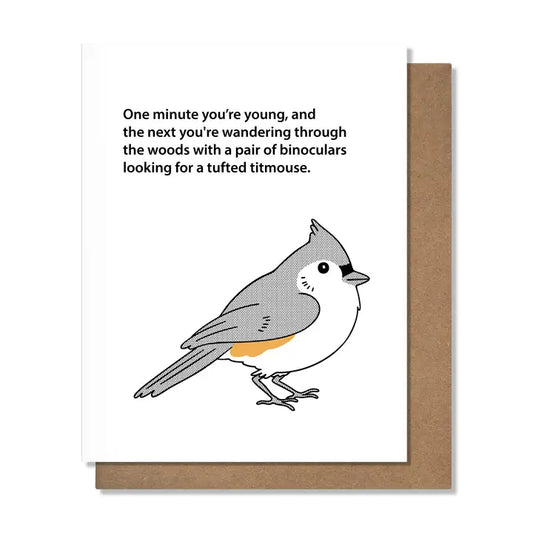 Birdwatching, One minute, titmouse