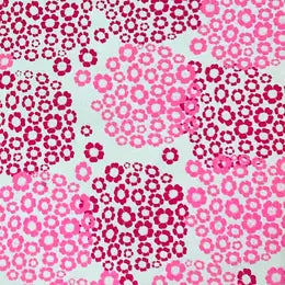 Pink and Magenta Hydrangea