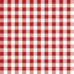 Red and White Checked Cocktail Napkins