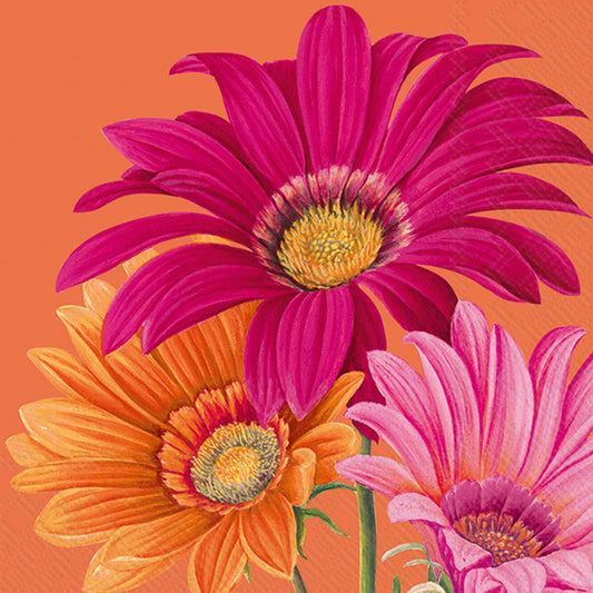 Paper Cocktail Napkin 20 Ct Joyful Gerbera Orange