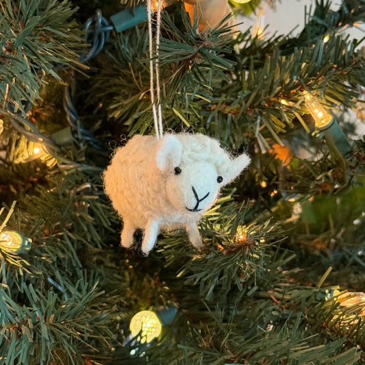 Fluffy Sheep