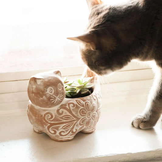 Kitty Planter
