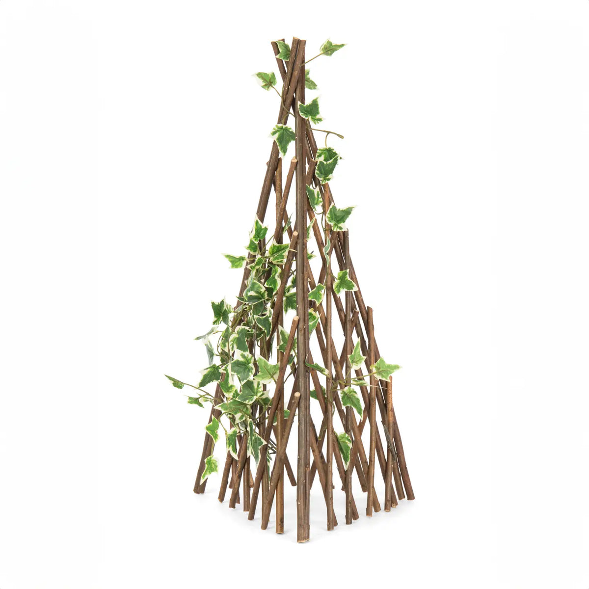Acacia Expanding Trellis