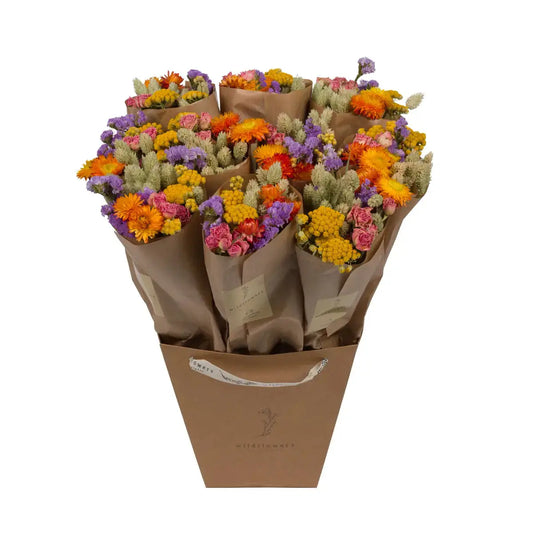 Multi Colored Dried Flowers, wildflowers