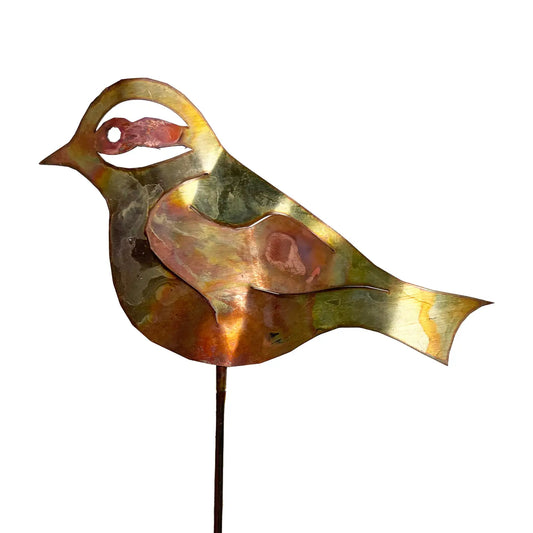 Copper Chickadee