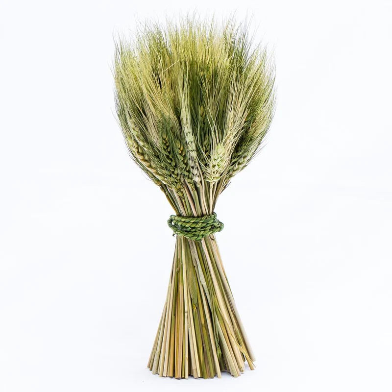 Stand Up Wheat Bundle