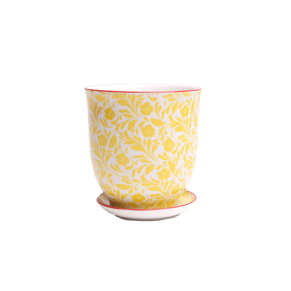 Pots with a Matching Saucer, pattern