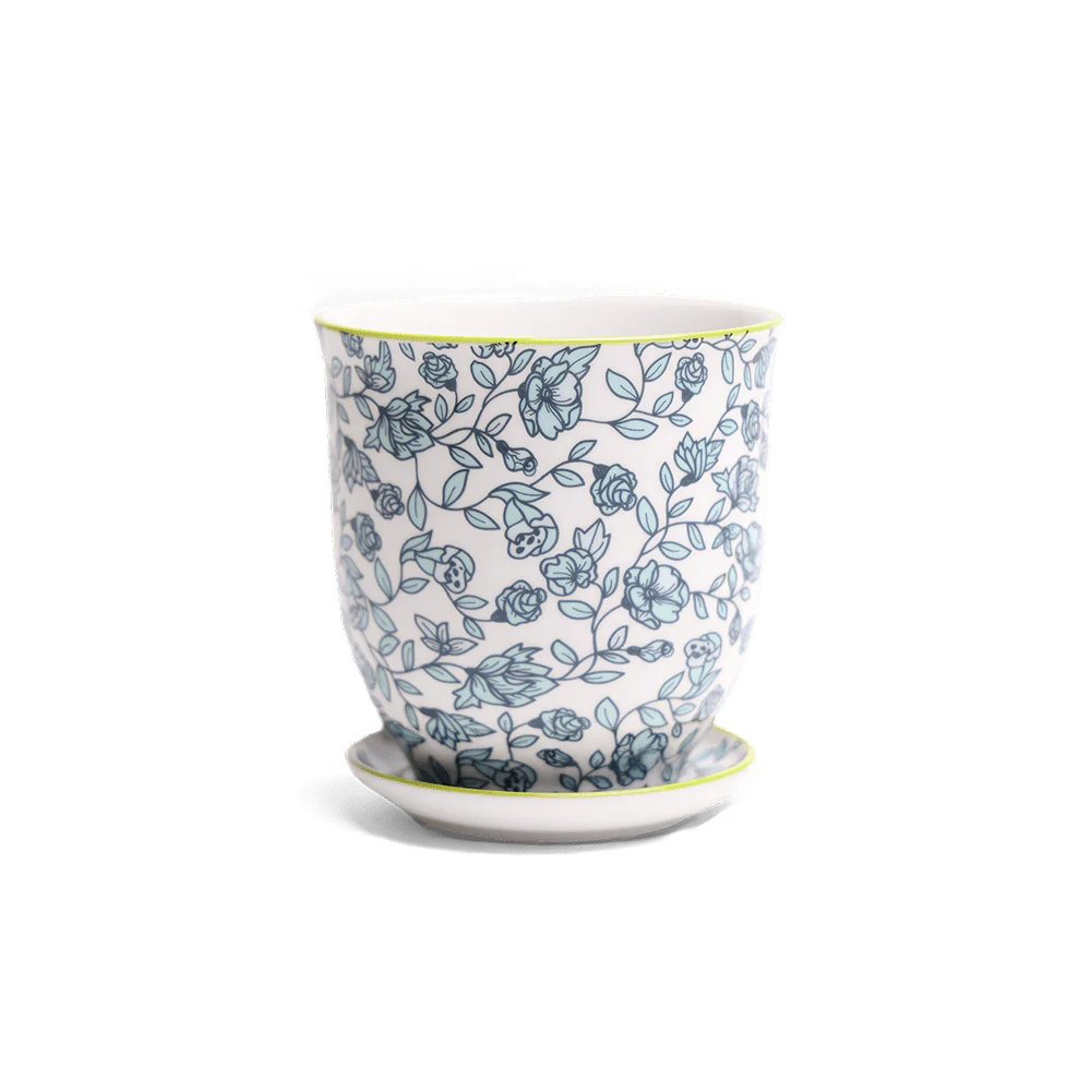 Pots with a Matching Saucer, pattern