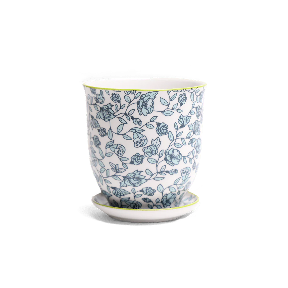 Pots with a Matching Saucer, pattern