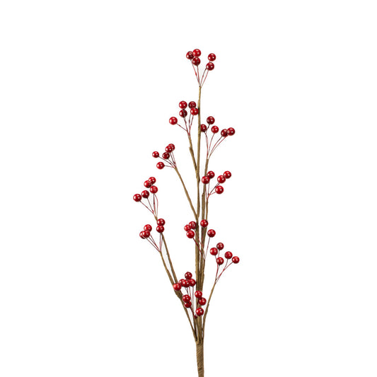 Red Berry Stems