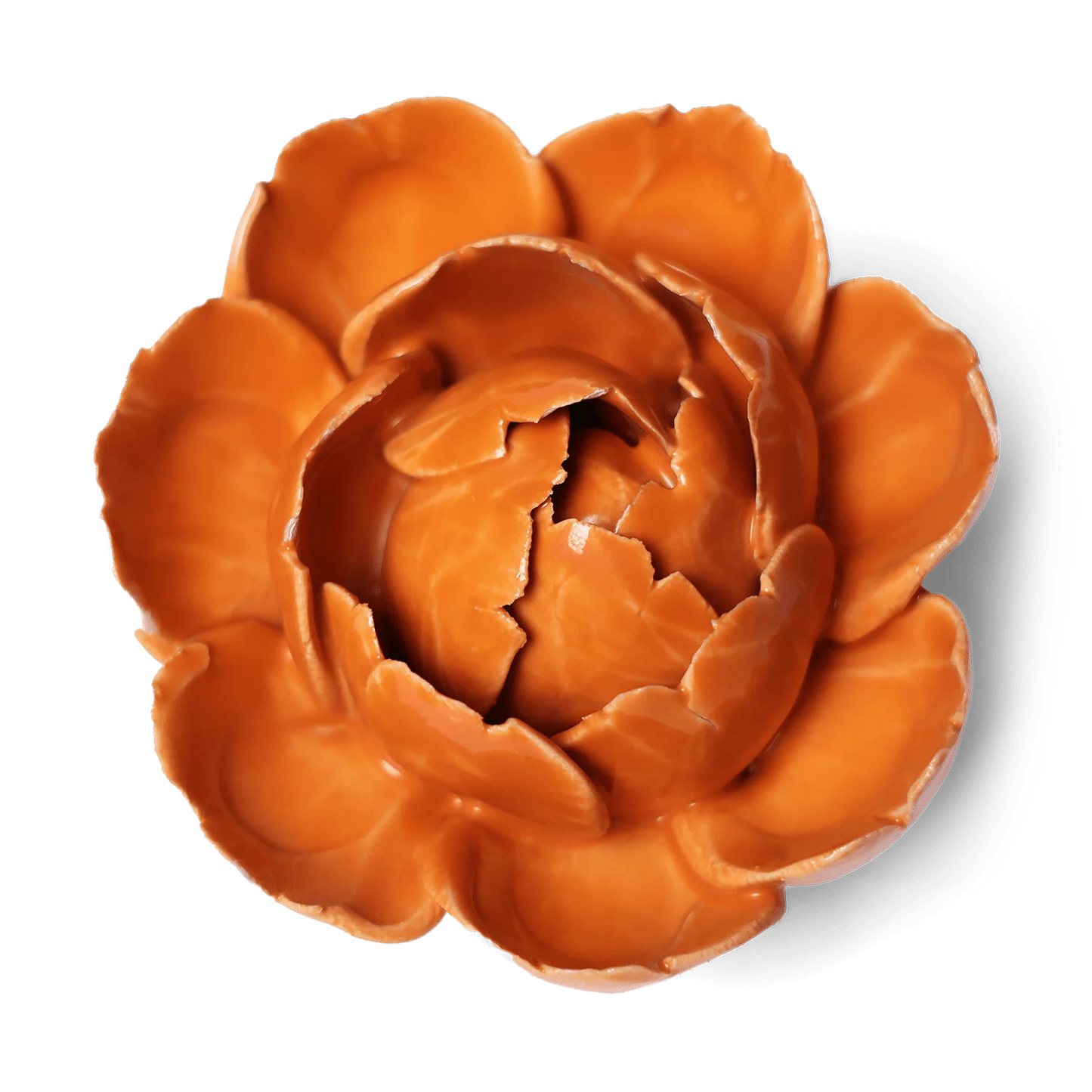 Peony Orange 7
