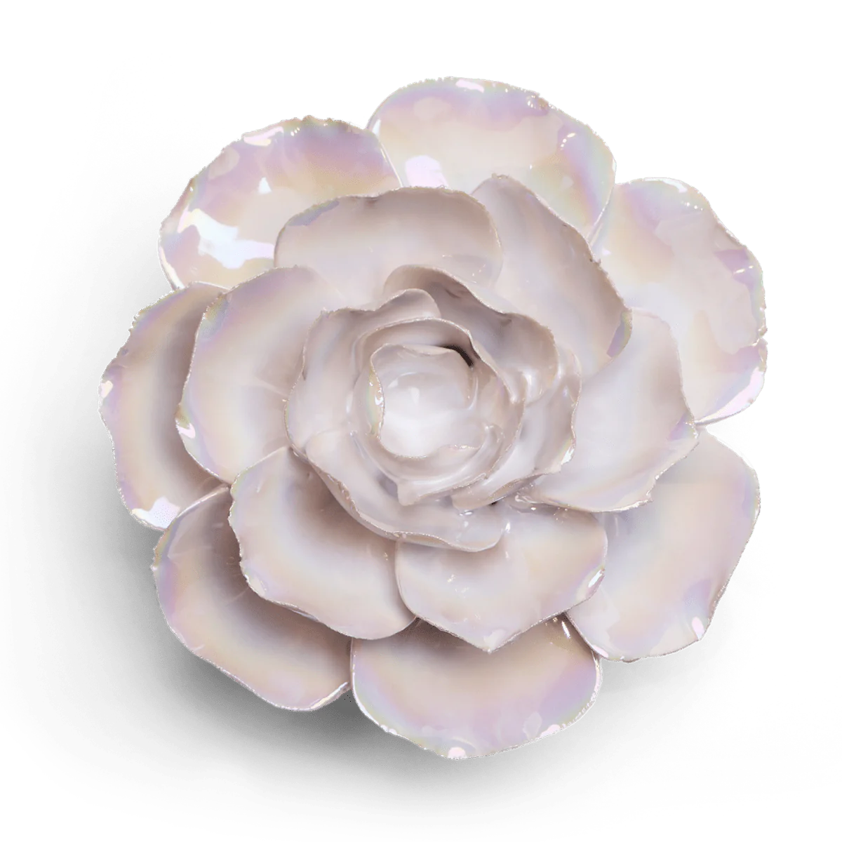 Pearl Ranunculus