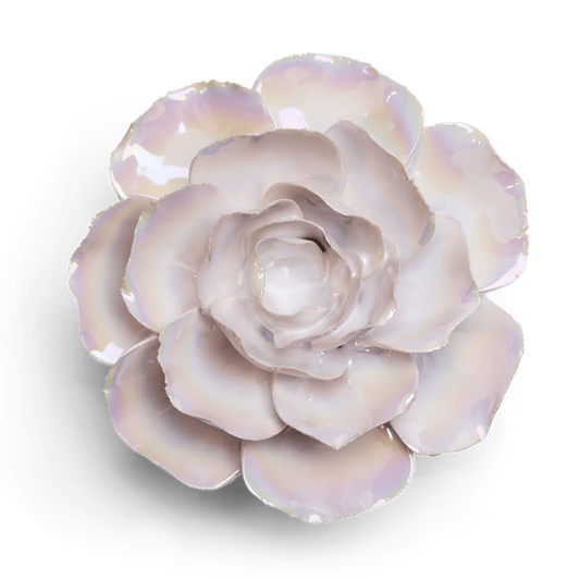 Pearl Ranunculus