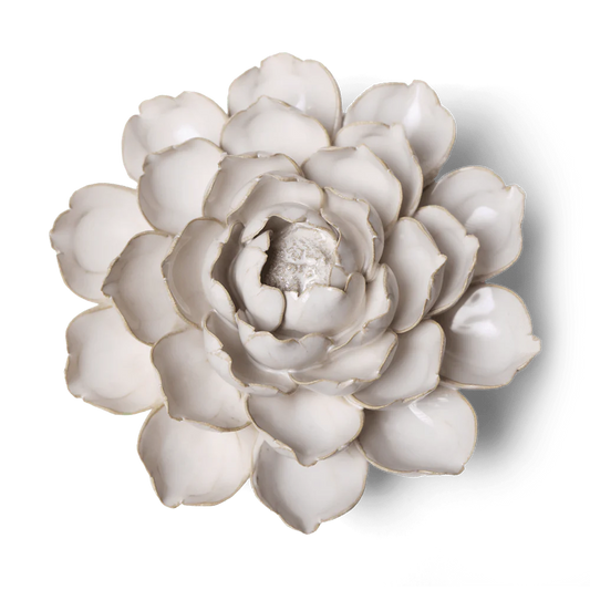 White Cabbage Flower