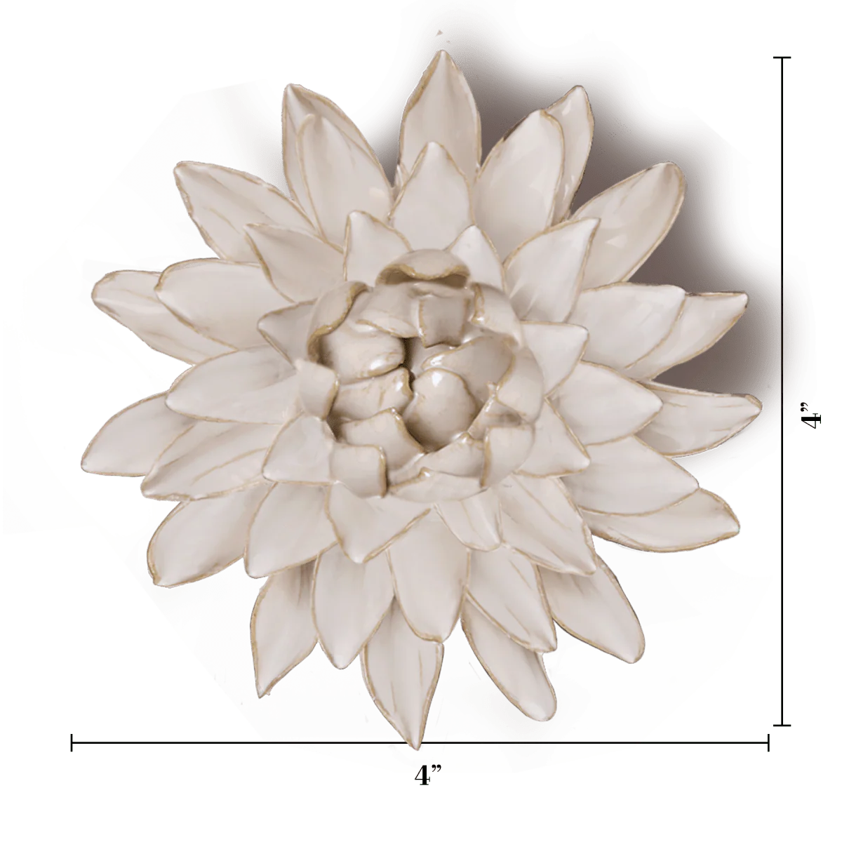Strawflower - yellow