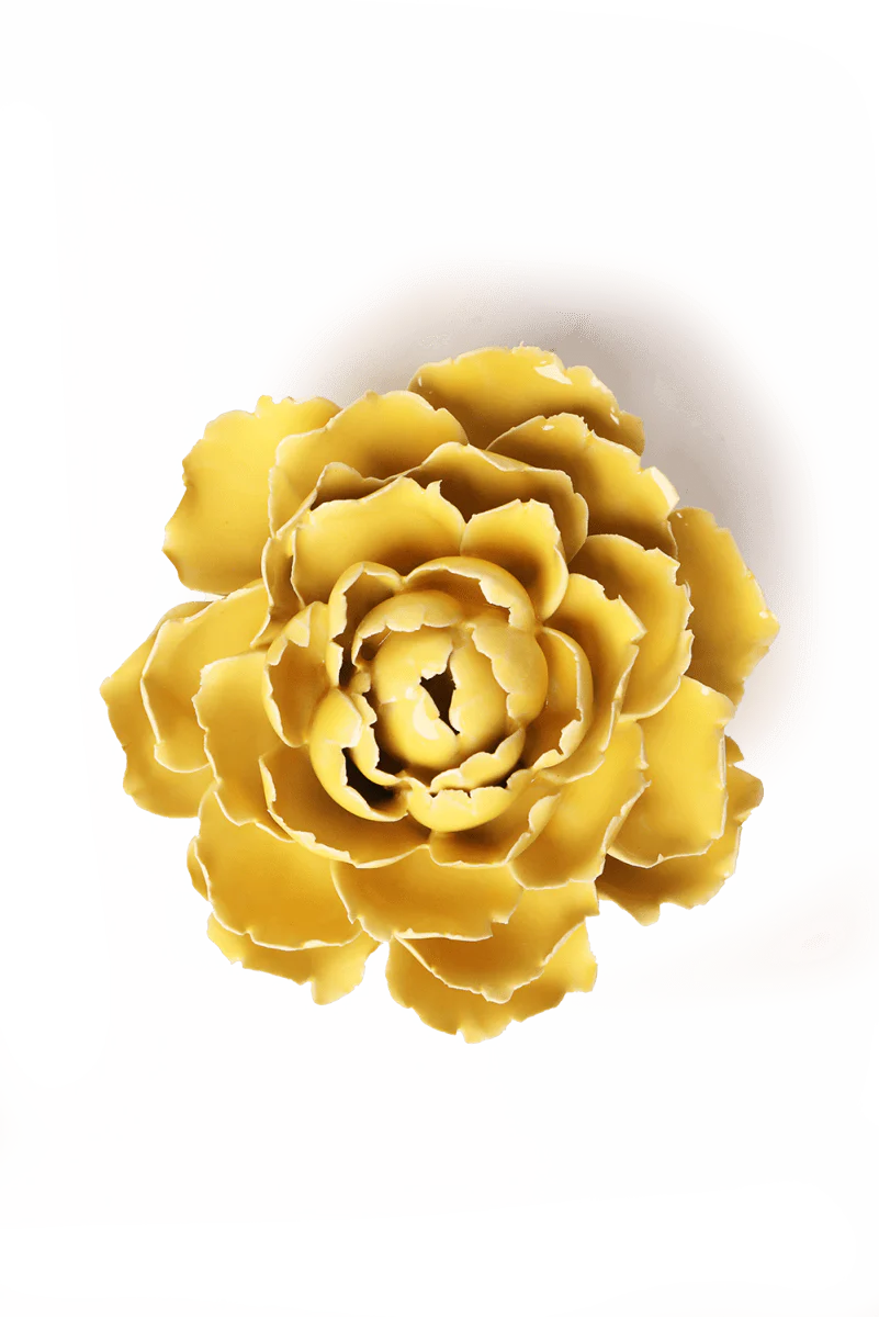 Yellow Gay Paree Peony