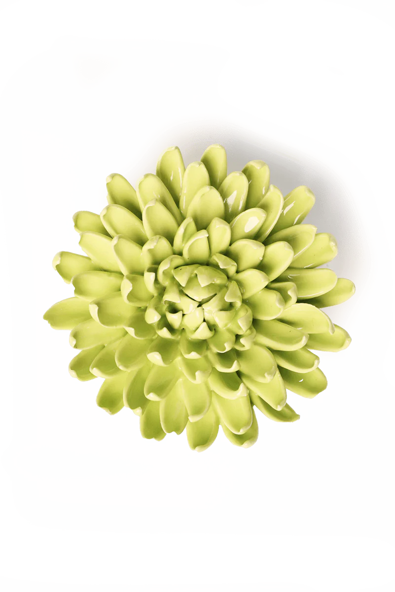 Yellow Green Mum