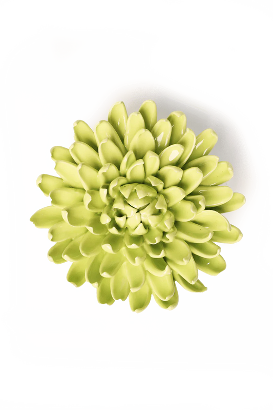 Yellow Green Mum
