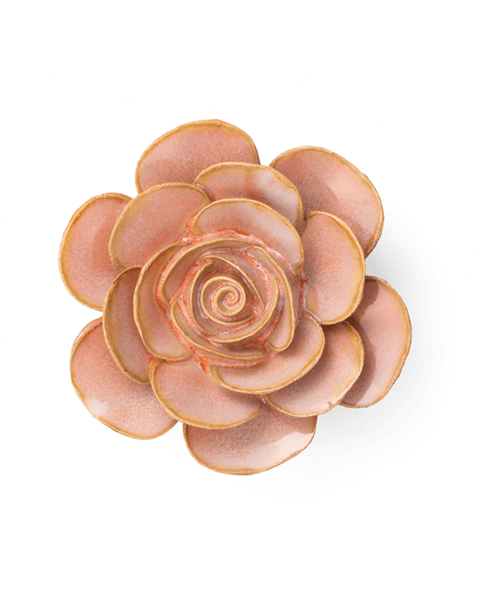 Ranunculus, Peach Pink
