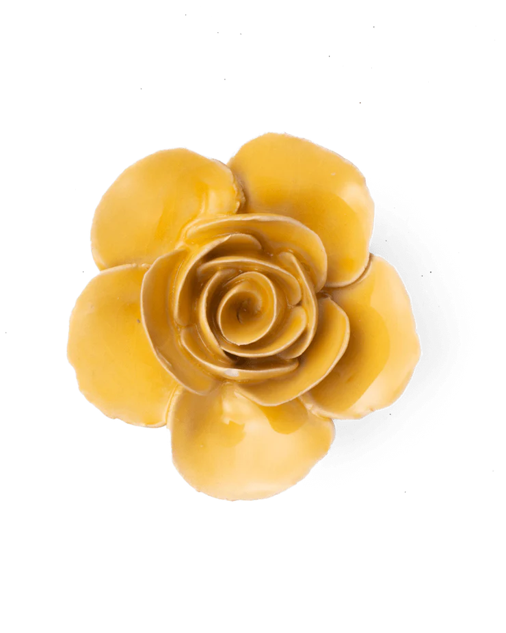 Buttercup Ranunculus