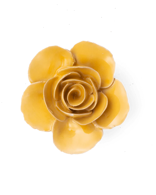 Buttercup Ranunculus, yellow