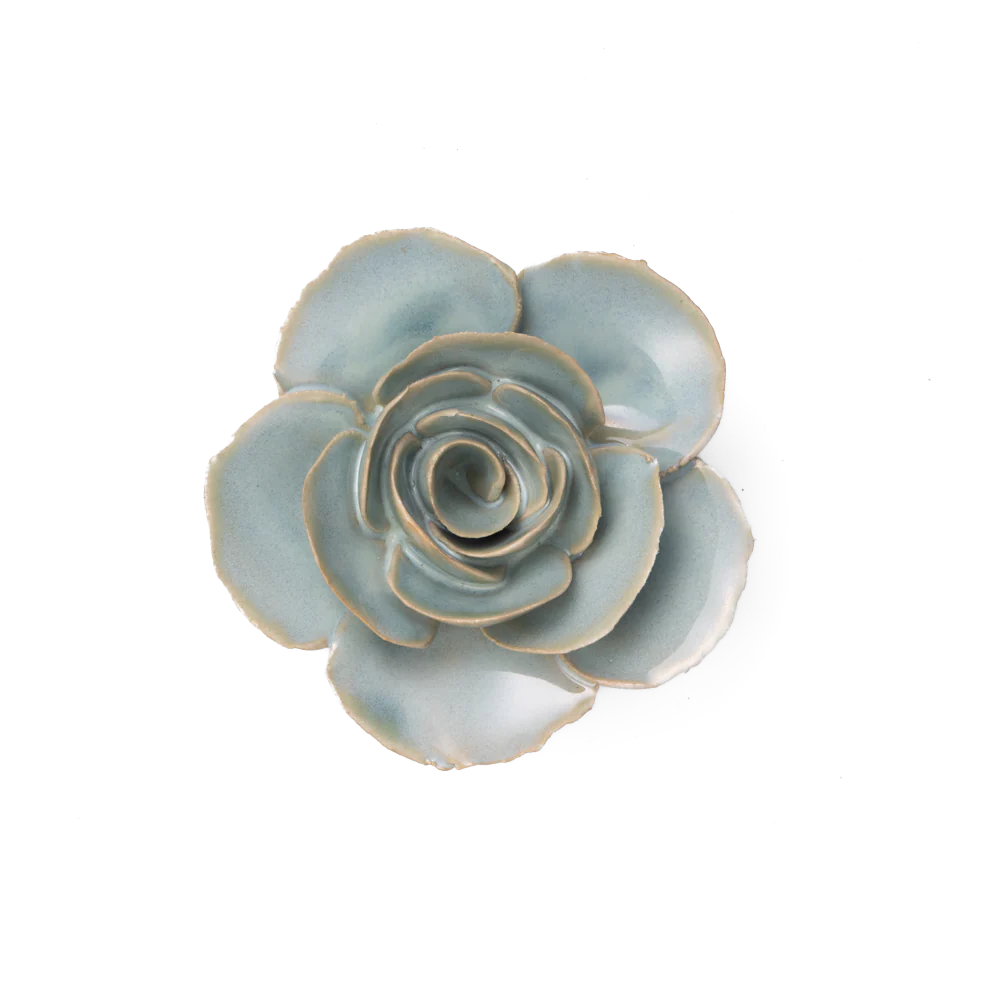 Teal Ranunculus