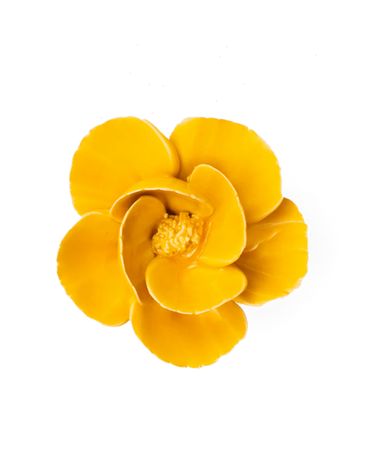 Burnt Poppy, Orange or Yellow