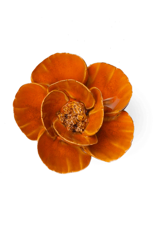 Burnt Orange Poppy