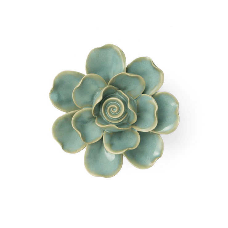 Gardenia