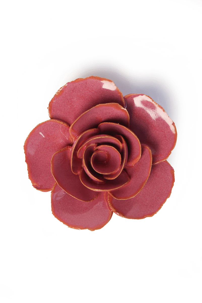 Elegance Ranunculas, Blush Pink