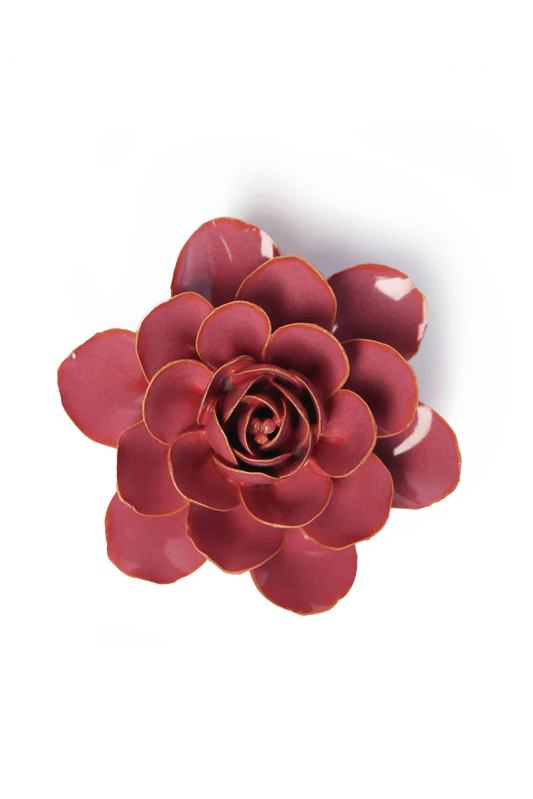 Blush Pink Begonia