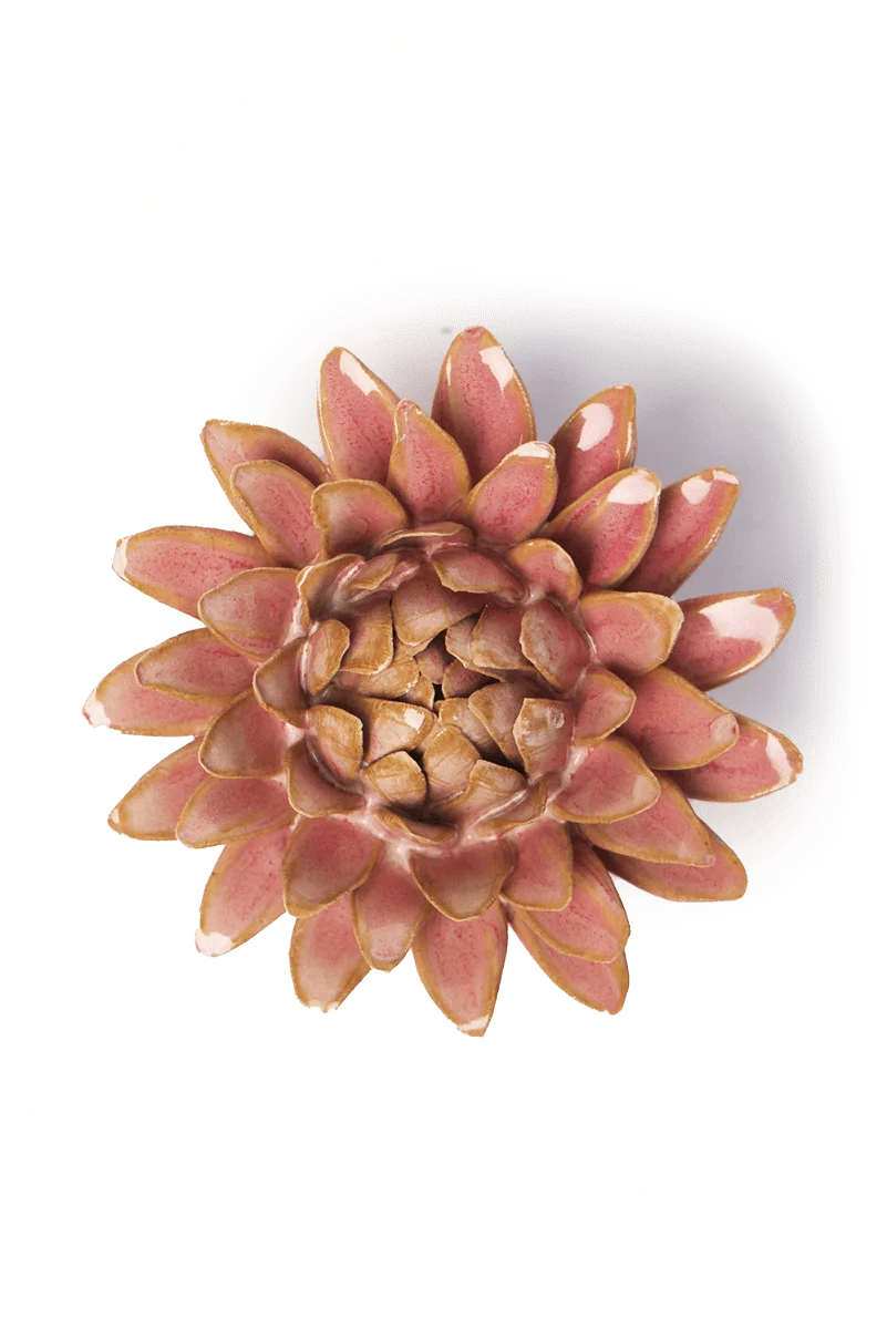 Quartz Strawflower