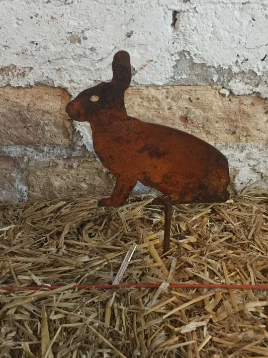 Rabbit Stakes, bunny bunnies