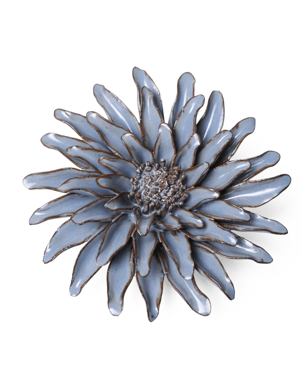 Blue Gerber Daisy