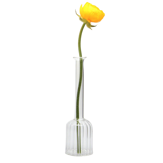 Jeanie Clear Vase