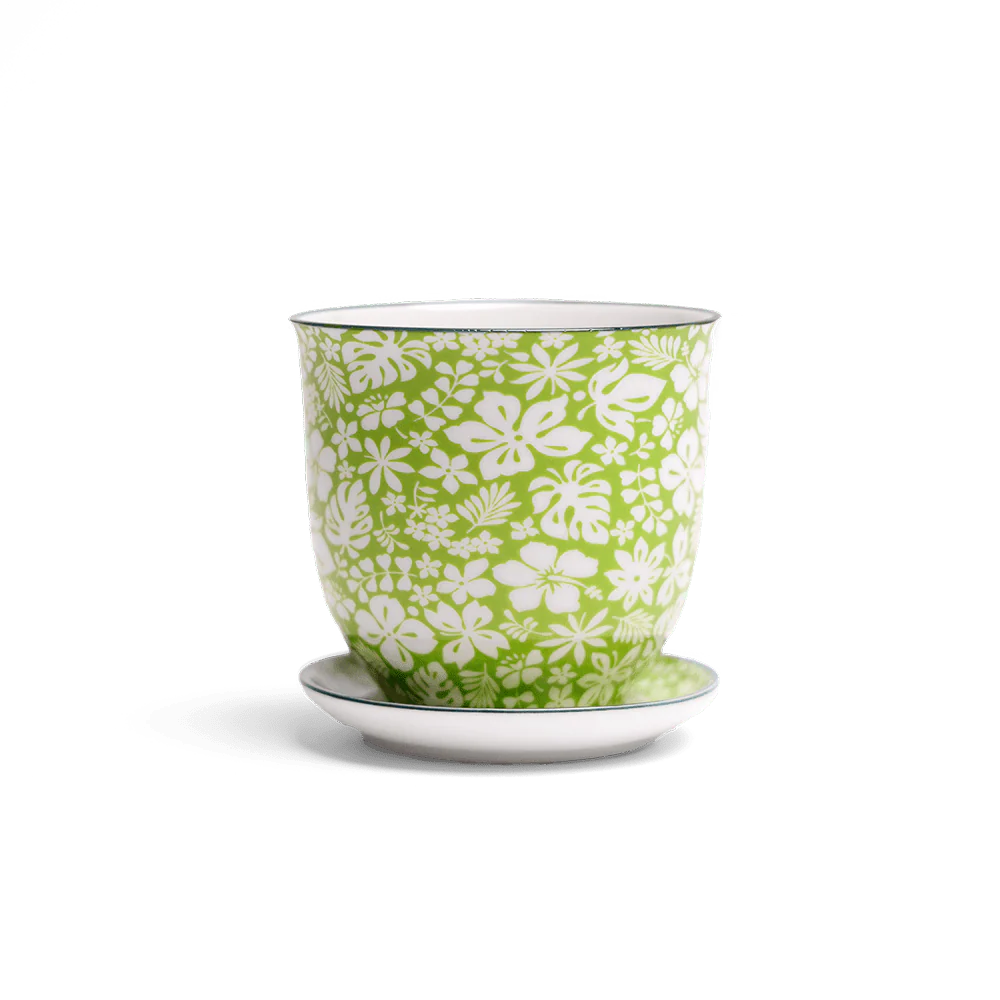 Pots with a Matching Saucer, pattern