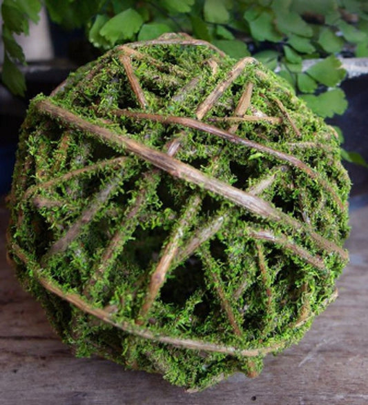 Moss Curly Willow Ball