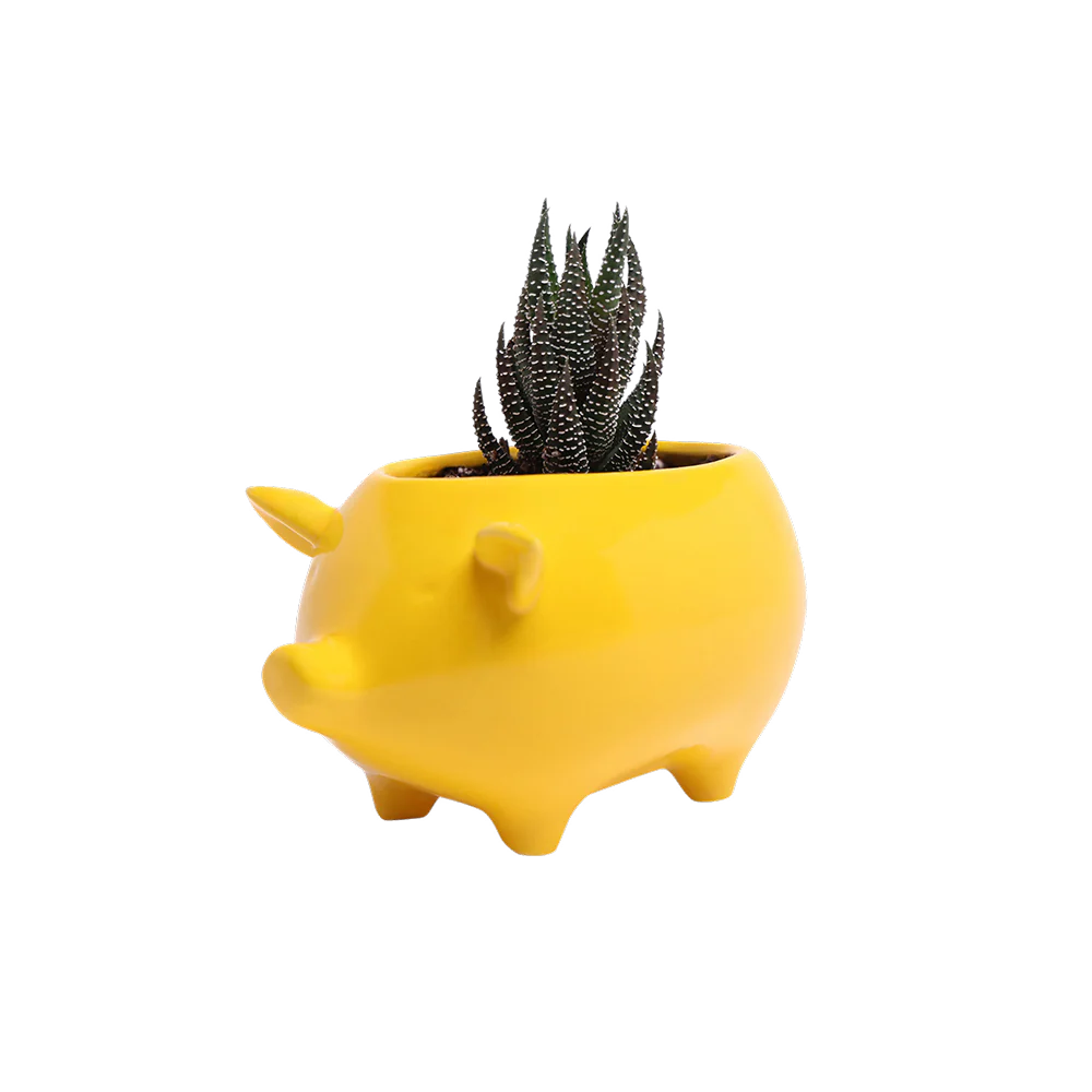 Ceramic Pig