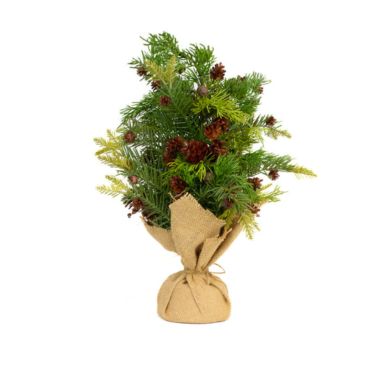 Pine and Juniper Tree