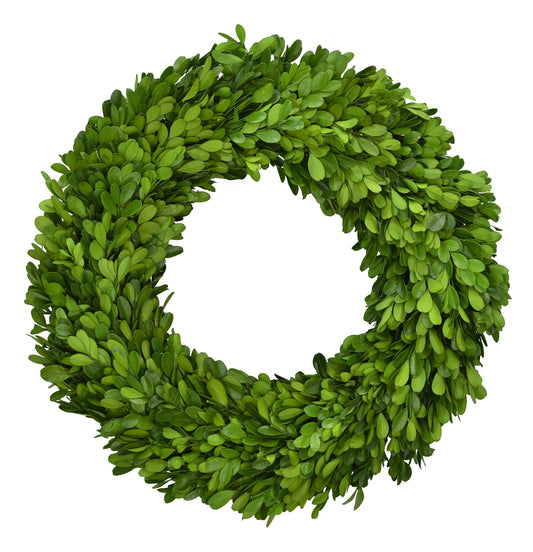 Boxwood Wreath, 14"