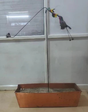 Hummingbird Balancer