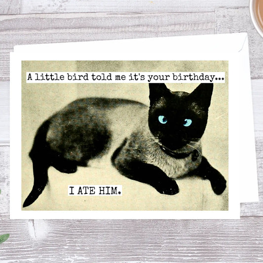 A Little Bird Told Me............