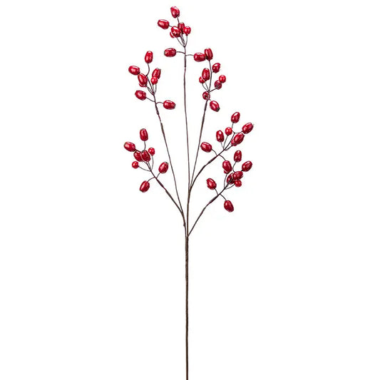 Red Berry Stems