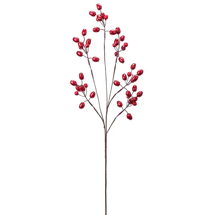 Red Berry Stems