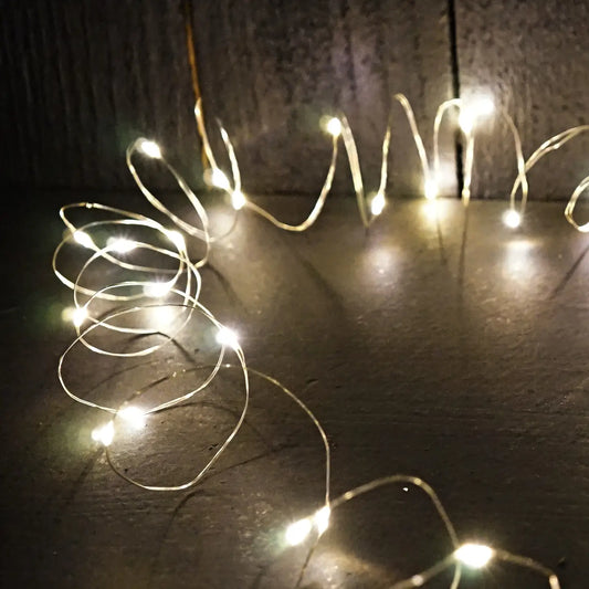 30 Light Warm White Light String