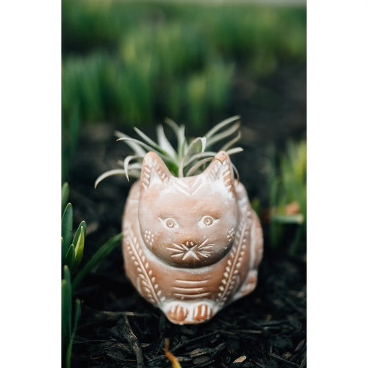 Cat Planter