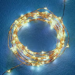 LED Lights 25'