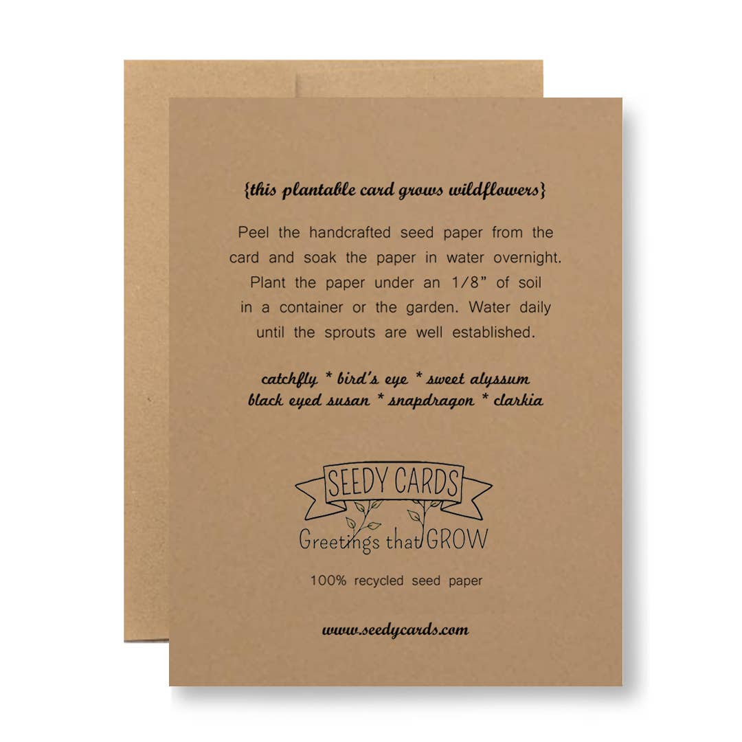 Grows Wildflowers - 7 Colors - ...for being younger than me